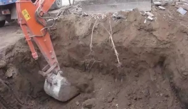 【案例】北京自建帶花園的中式別墅，精致豪華人人羨！